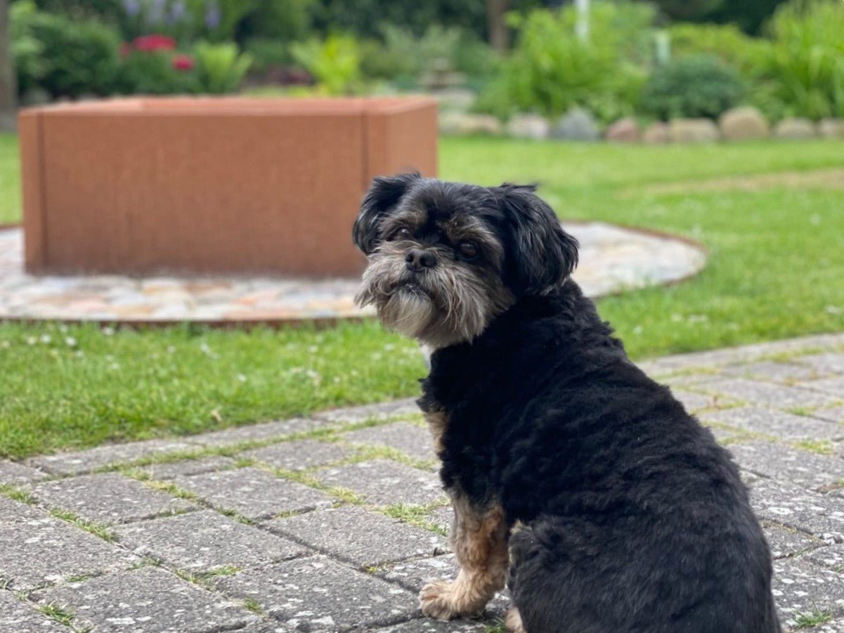 På besøg i Marias have