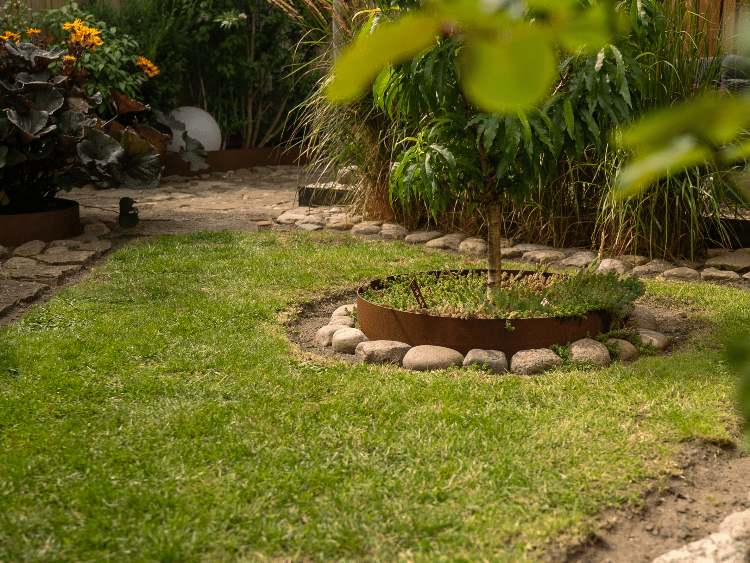 Bedringe - idelle til buske og træer