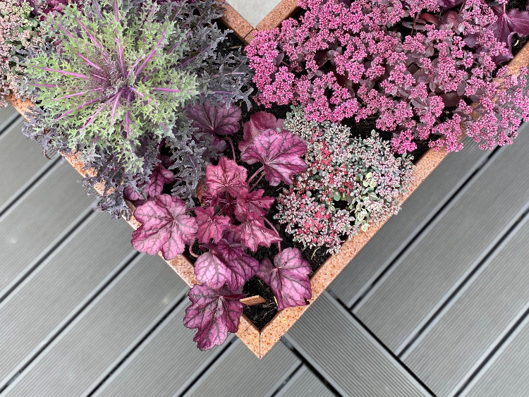 Cortenstål plantekasser CUBY