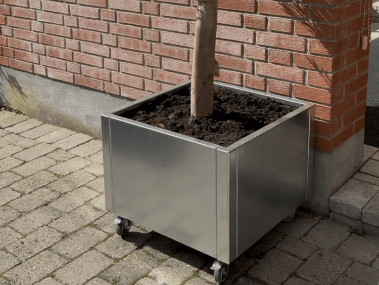 60-galvaniseret-oliventrae2