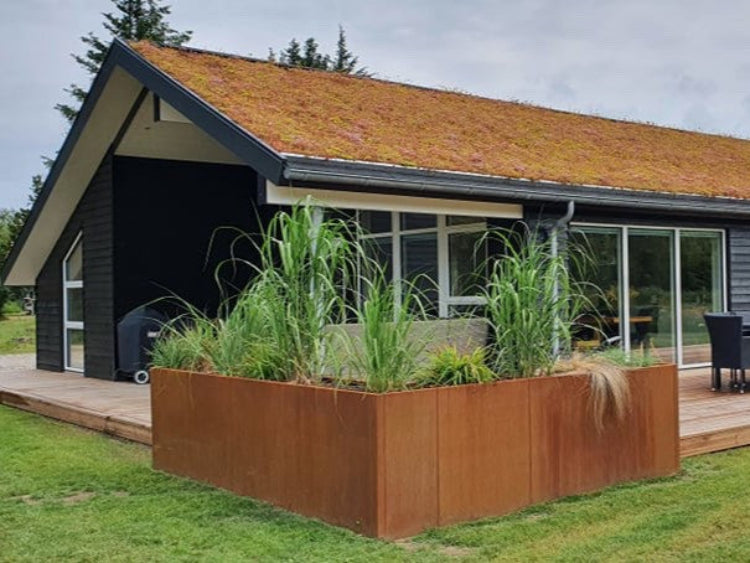 Corten