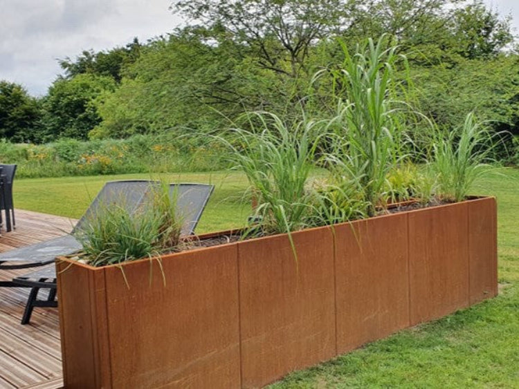 Corten