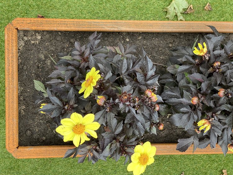 EDGY-corten-plantekasse