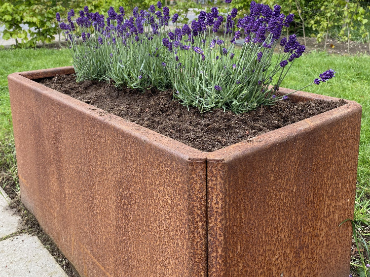 EDGY-corten-plantekasse