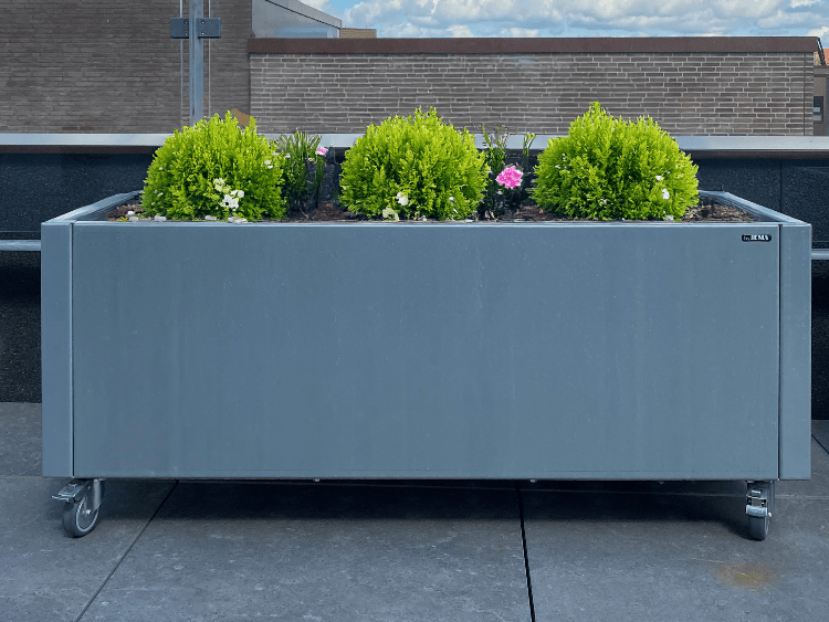 Firefly_20250314084825