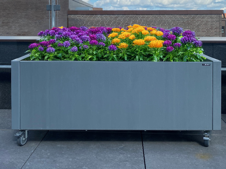 Firefly_20250314085134