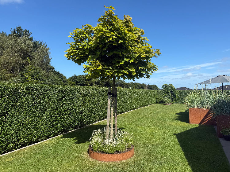 Ottos-have-sommer33