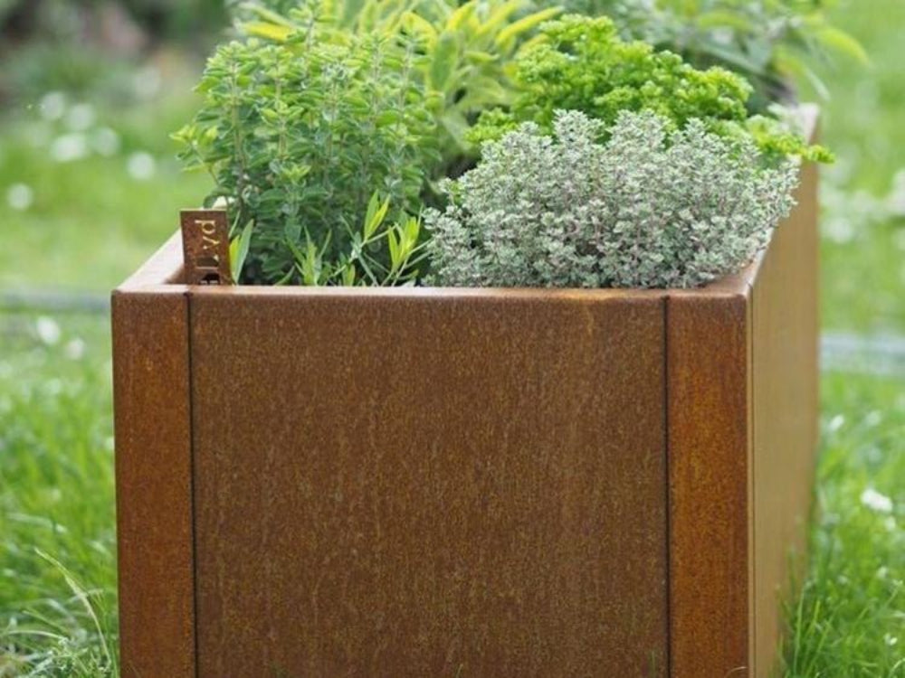 Nærbillede af CUBY plantekasse i cortenstål fyldt med aromatiske krydderurter