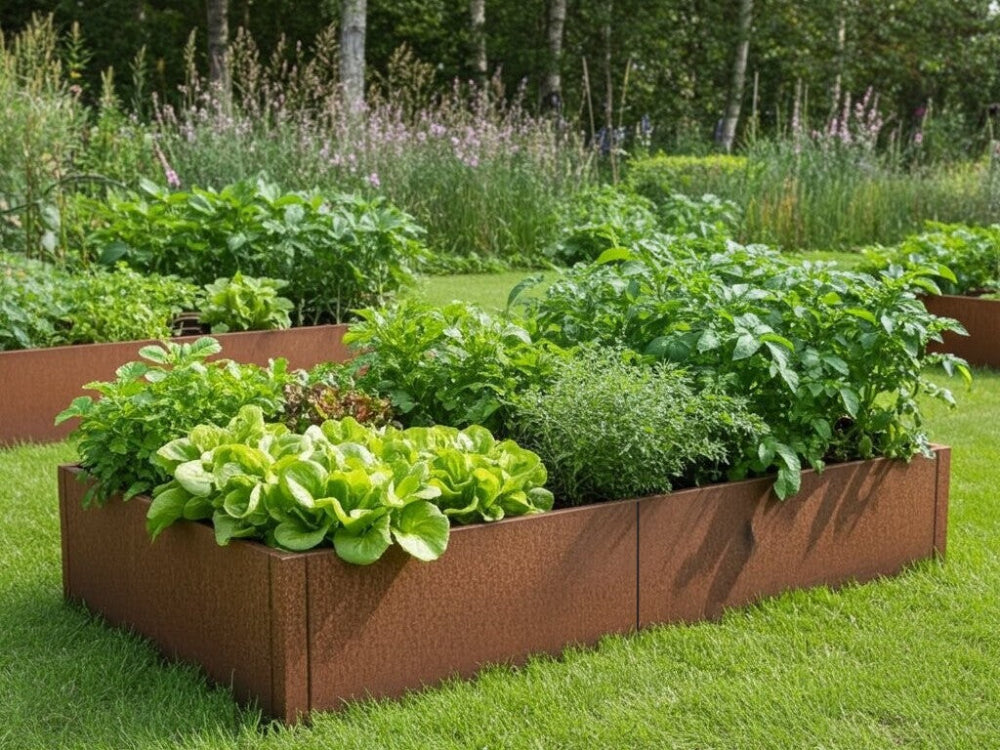 CUBY højbed i cortenstål med salat og grøntsager i køkkenhave