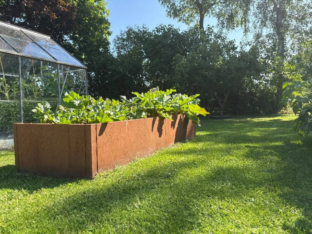 CUBY lang højbed i cortenstål ved drivhus i køkkenhave