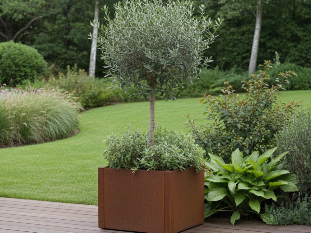 CUBY plantekasse i cortenstål med træ og bundbeplantning i have