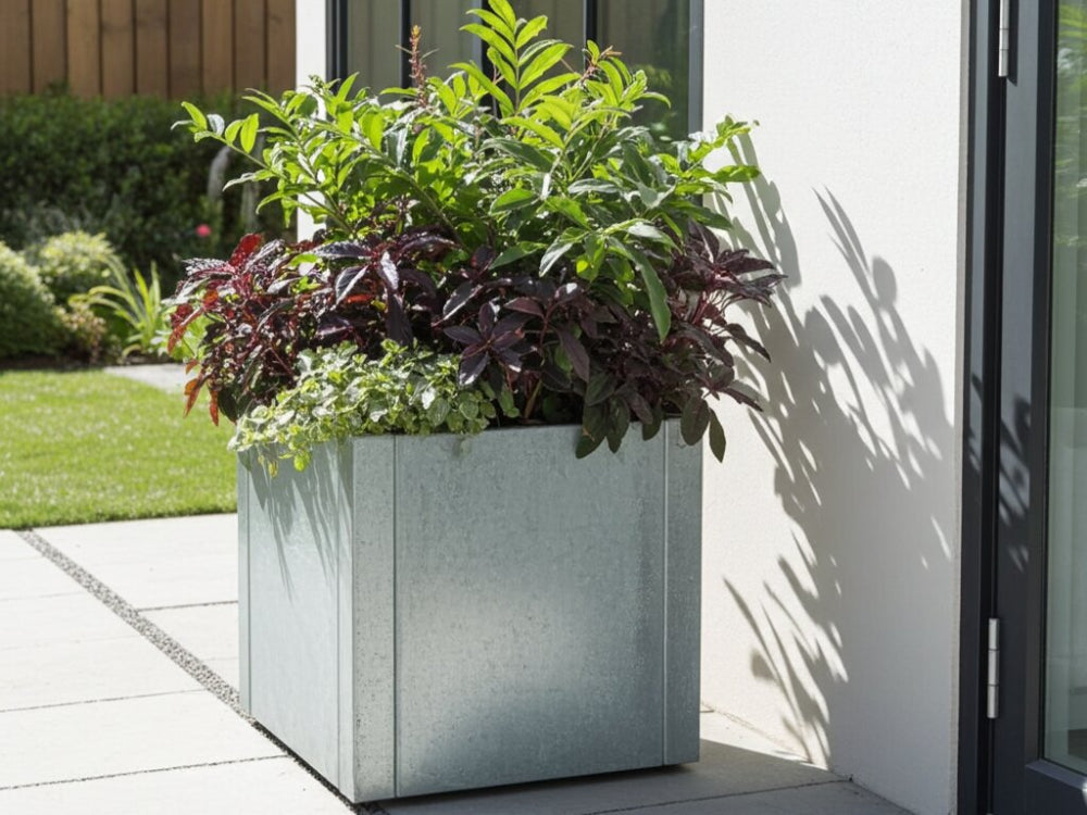 CUBY lav kvadratisk plantekasse i galvaniseret stål placeret ved indgangsparti med frodig beplantning