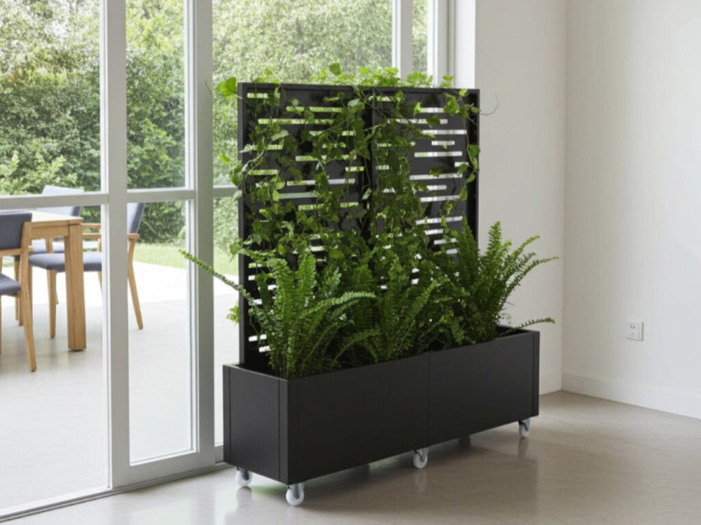 Plantekasse med espalier i sort stål anvendt som grøn afskærmning