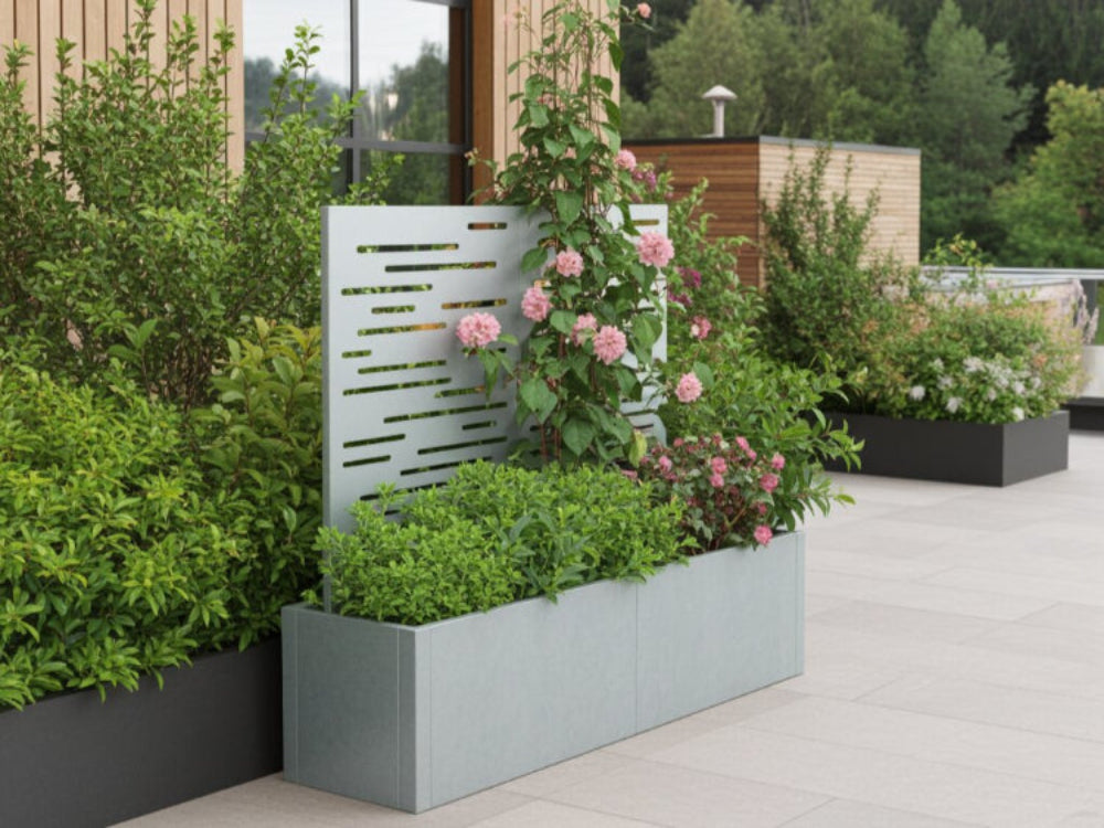 CUBY plantekasse med espalier i galvaniseret stål med klatrende rose