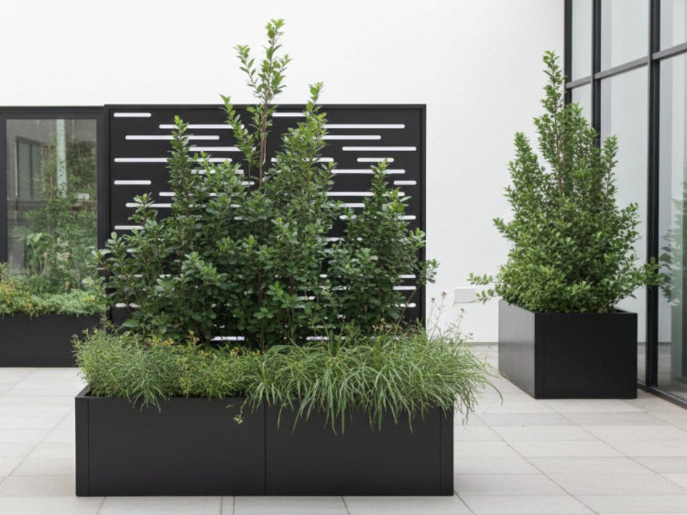 CUBY plantekasse med espalier i sortlakeret stål med grønne græsser