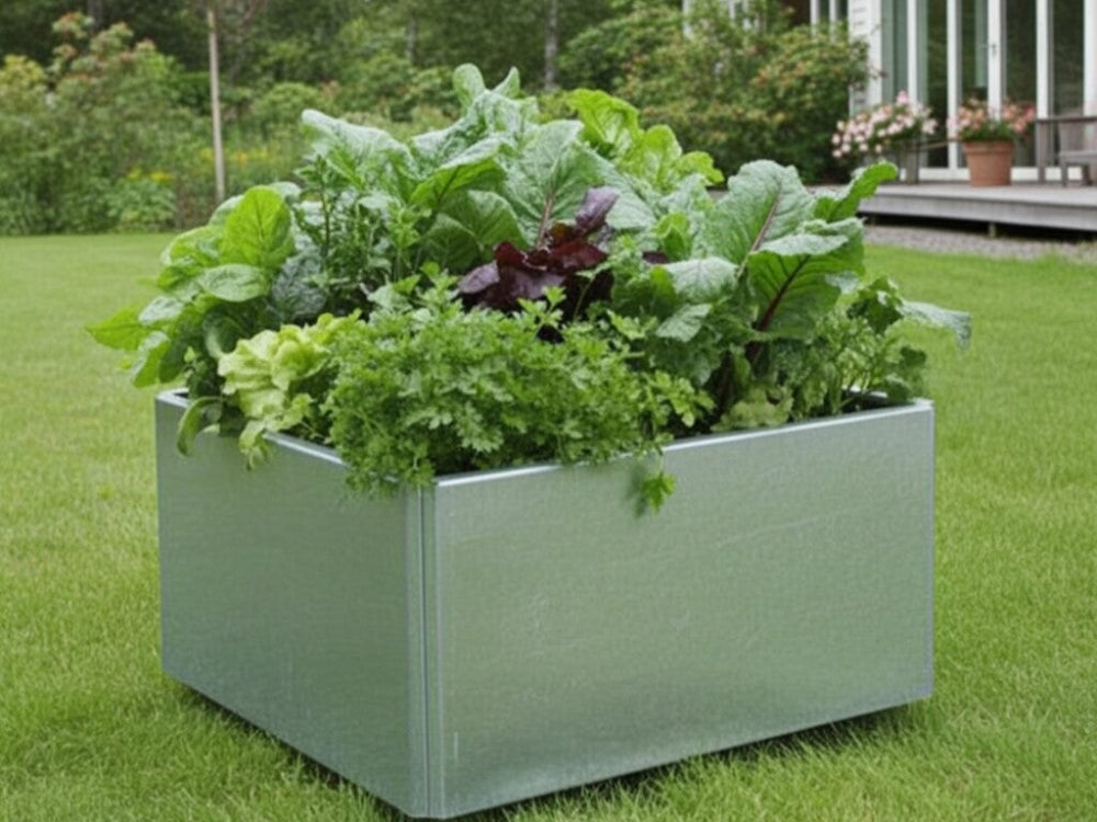 EDGY lav kvadratisk plantekasse i galvaniseret stål i haven