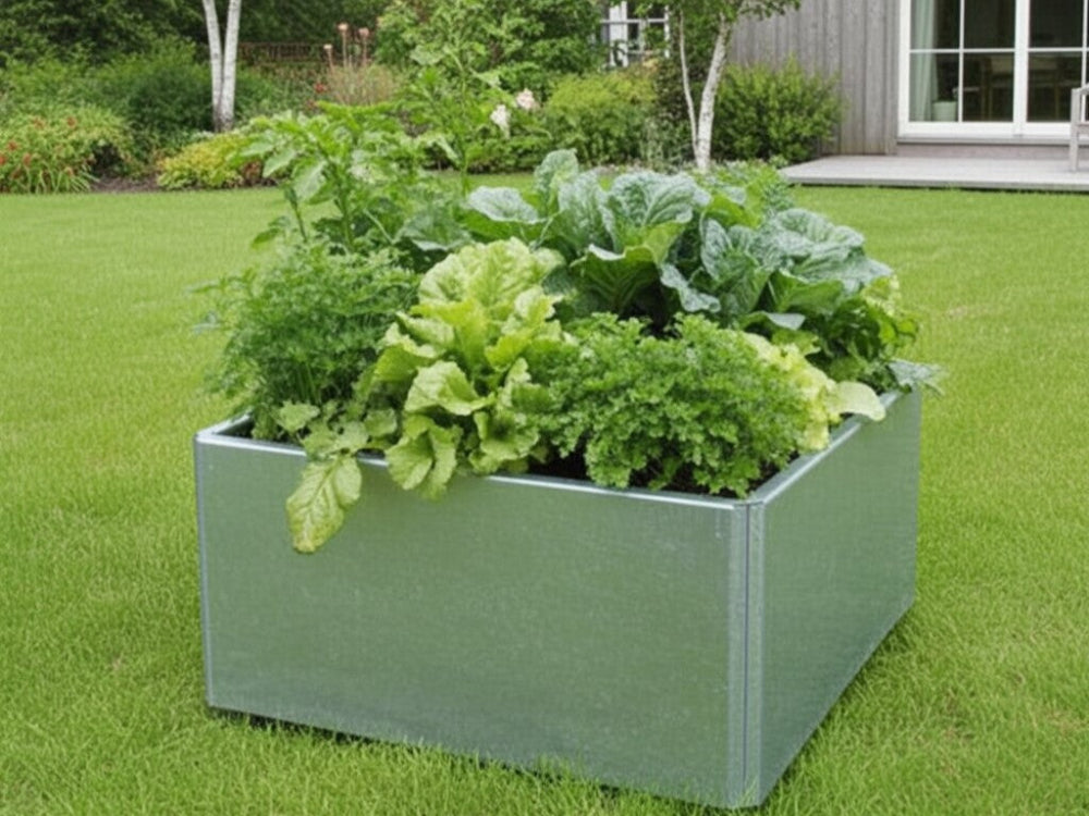EDGY kvadratisk lav plantekasse i galvaniseret stål med grøntsager