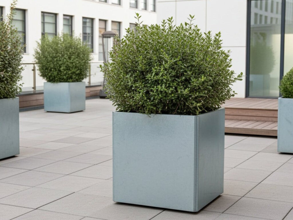 Kvadratisk EDGY plantekasse i galvaniseret stål på moderne tagterrasse