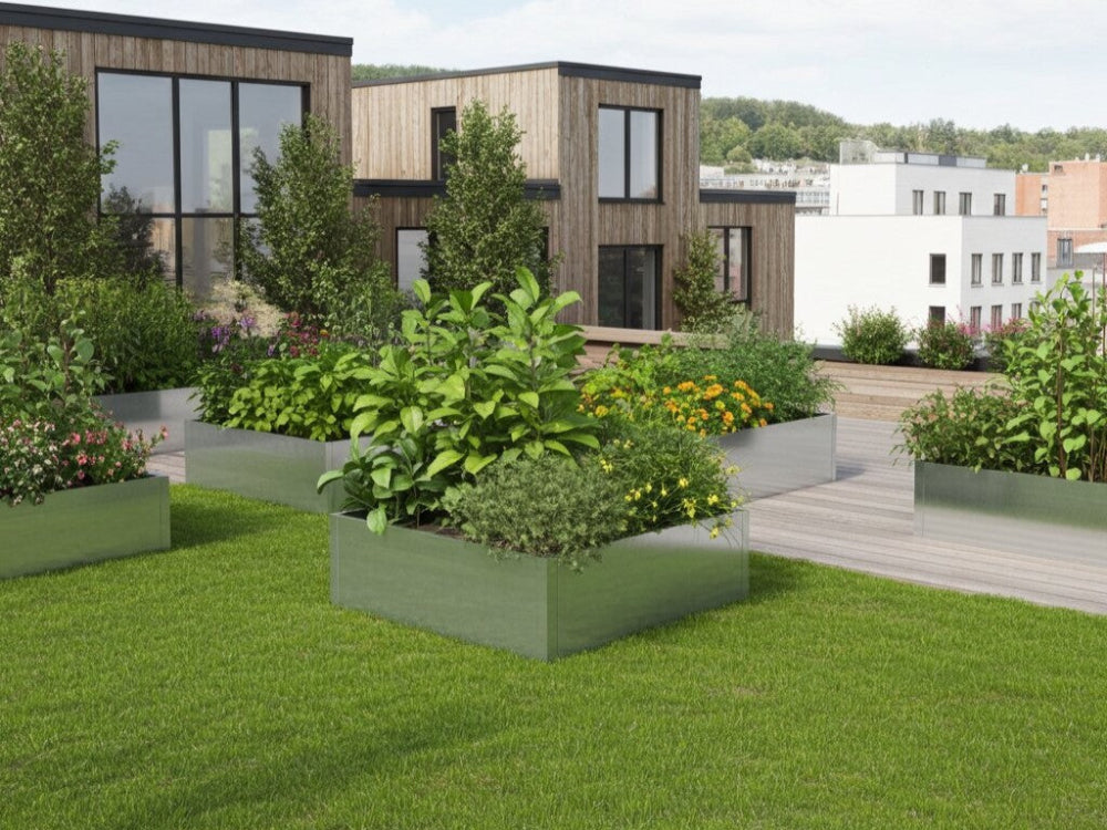 Moderne galvaniserede højbede med køkkenurter og grøntsager i minimalistisk have