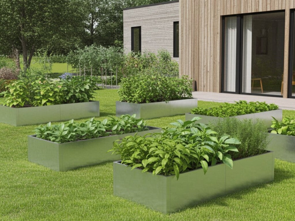 Flere højbed i galvaniseret stål med grøntsager i køkkenhave ved moderne nybyggeri