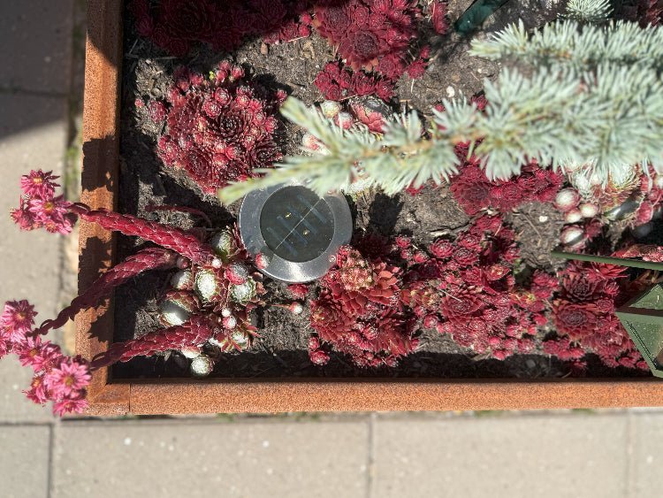 kvadrat-plantekasse2