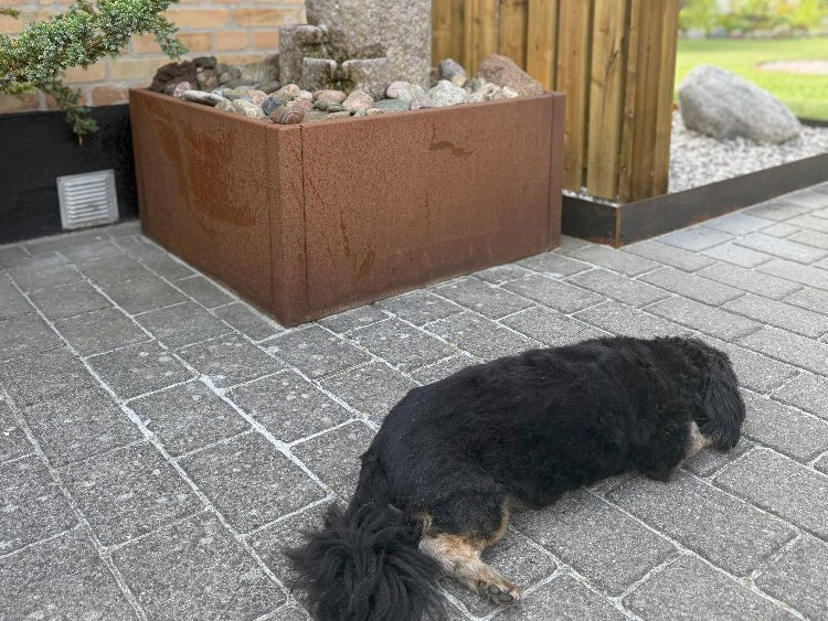 kvadrat-plantekasse4