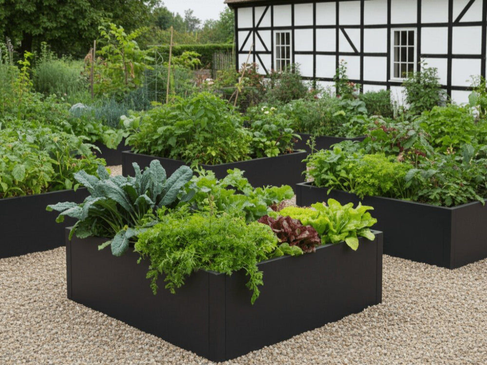 Sorte højbed i stål med forskellige grøntsager i klassisk køkkenhave ved bindingsværkshus