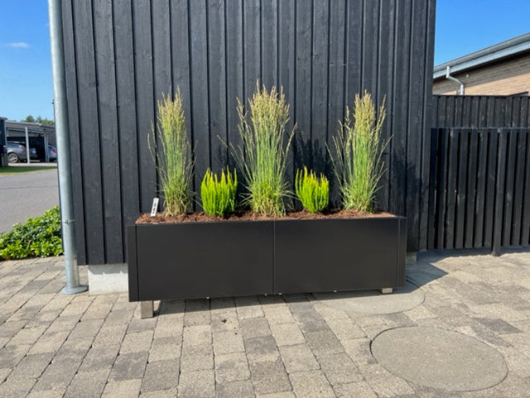 sortlakeret-plantekasser