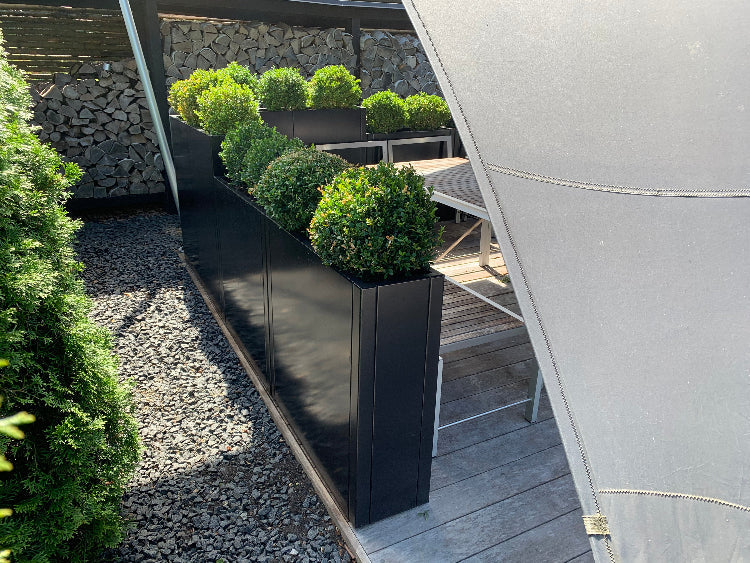 sortlakeret-plantekasser