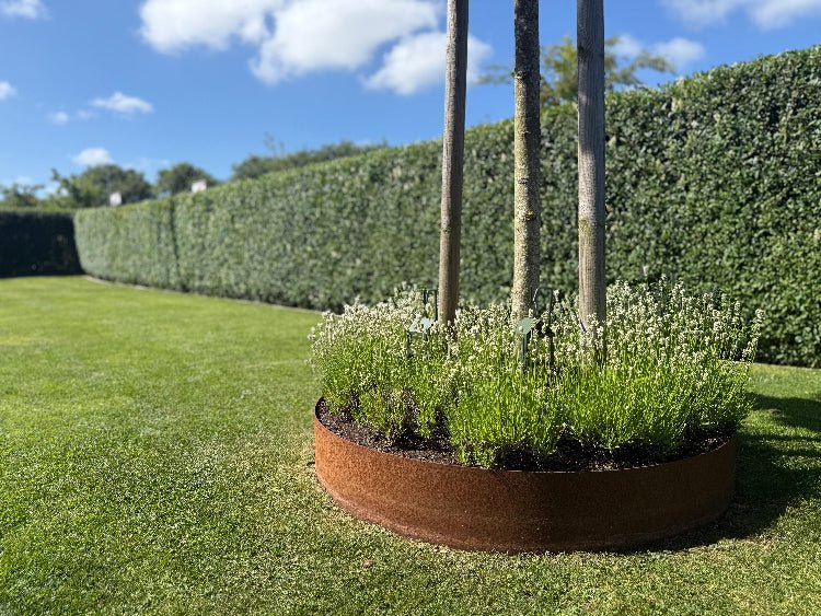 Bedring i cortenstål omkring træ på græsplæne