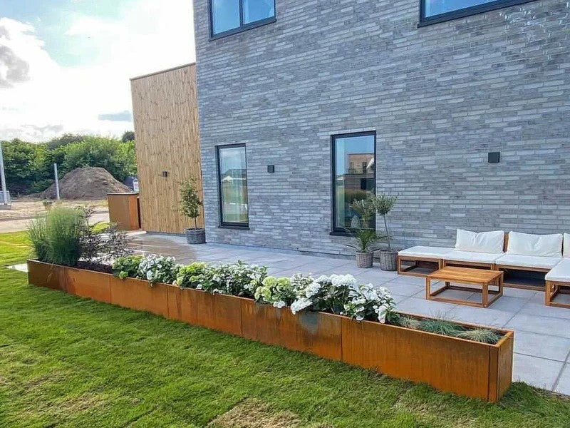 10 begyndervenlige grøntsager og urter