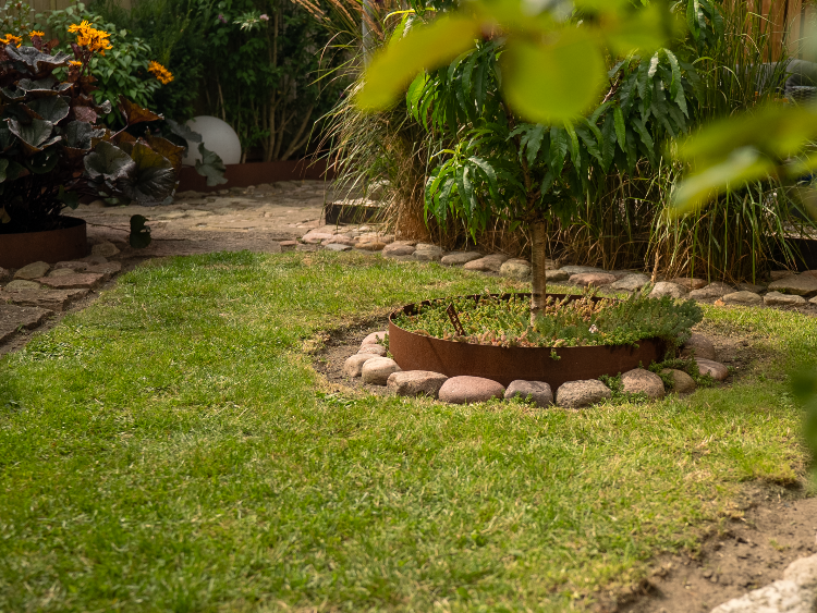 Bedringe - idelle til buske og træer