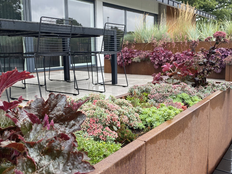 Cortenståls plantekasser med sedum