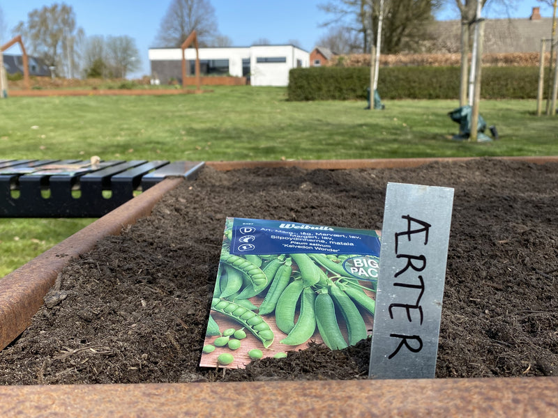 planteskilte til krydderurter