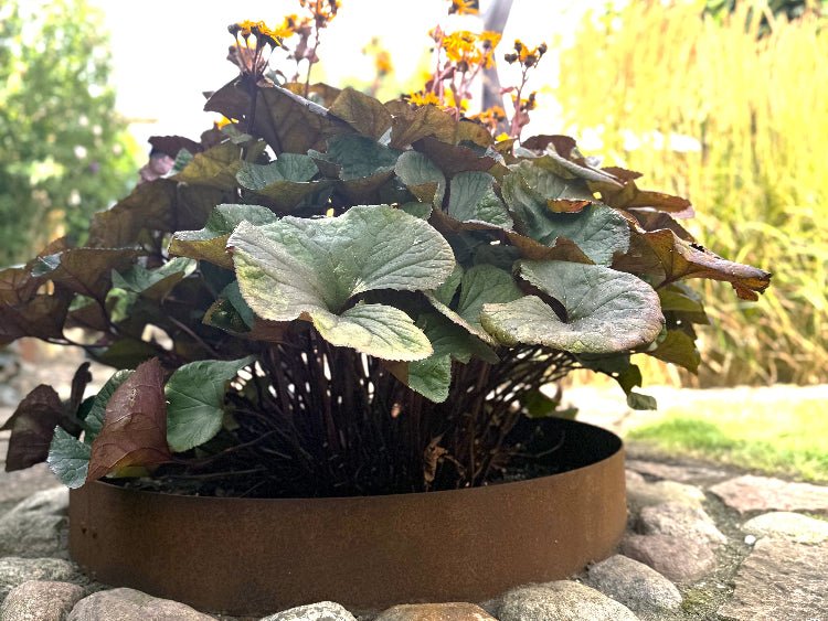 byJEMA bedring i cortenstål på specialmål til blomsterbed i haven