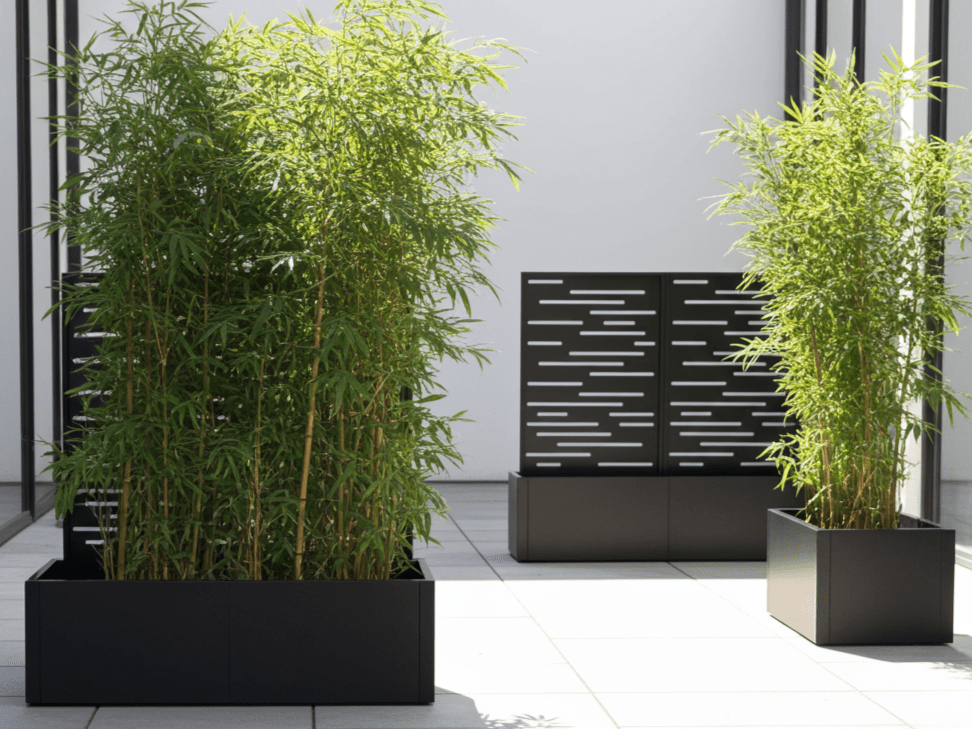 Sortlakerede stålplantekasser med espalier, anvendt som afskærmning på terrasse.