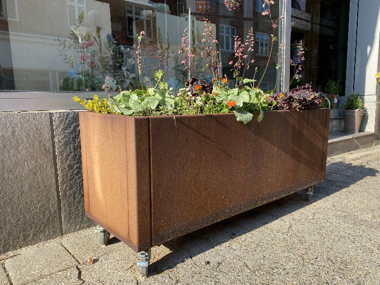 corten-gro1
