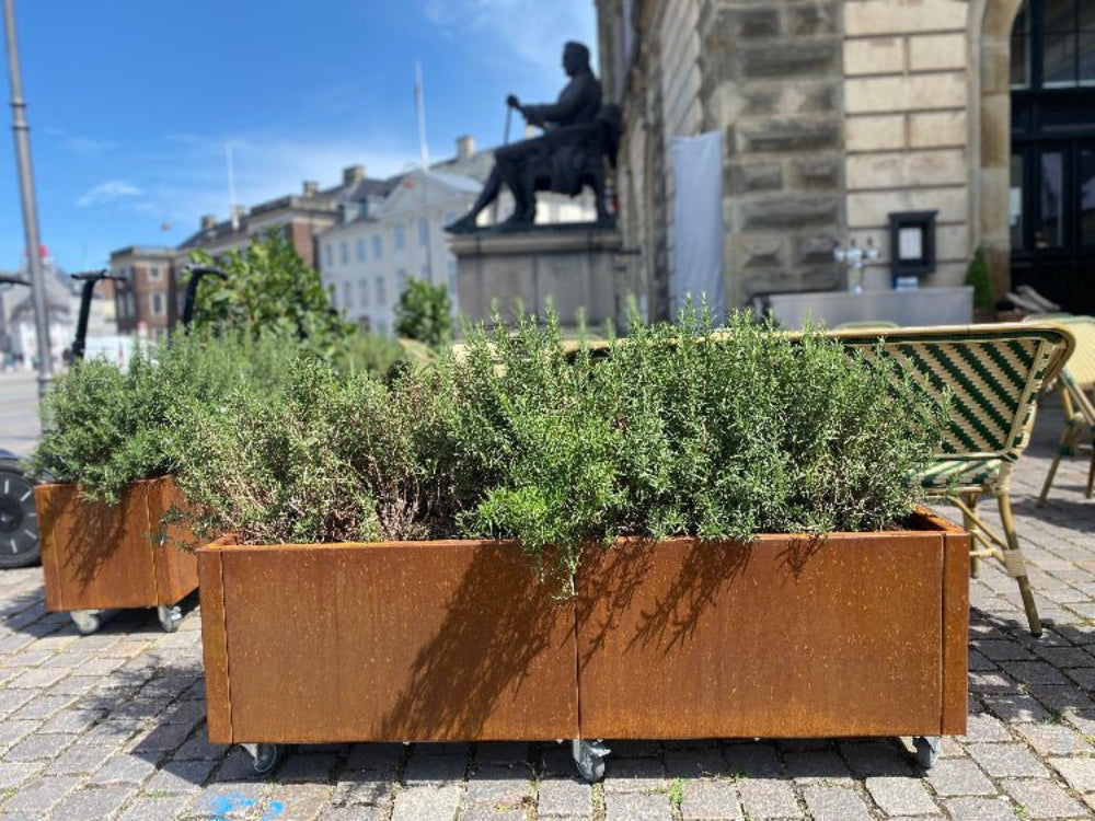 CUBY plantekasser i cortenstål med grøn beplantning foran café på bytorv