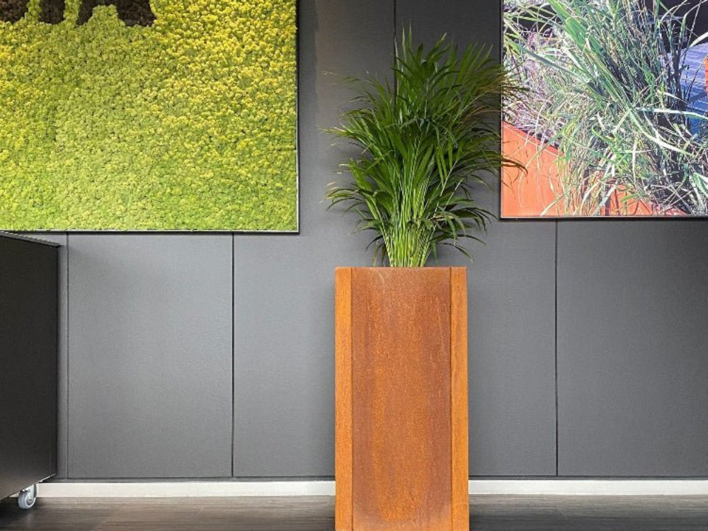 Høj CUBY plantekasse i cortenstål med grøn plante i moderne indretning