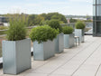 Høje CUBY plantekasser i galvaniseret stål med buske på tagterrasse