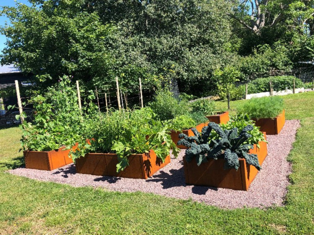 CUBY højbed i cortenstål i økologisk køkkenhave med grøntsager