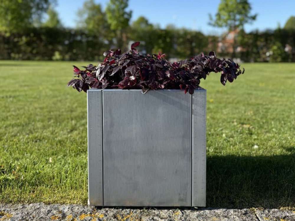 CUBY lav kvadratisk plantekasse i galvaniseret stål med mørke blade i solrig have