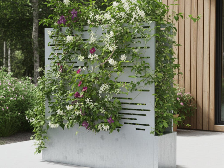 Plantekasse med espalier i galvaniseret stål med blomstrende klatreplante