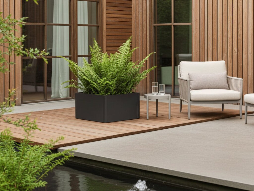 Kvadratisk plantekasse i sortlakeret stål med grøn bregne ved terrasse