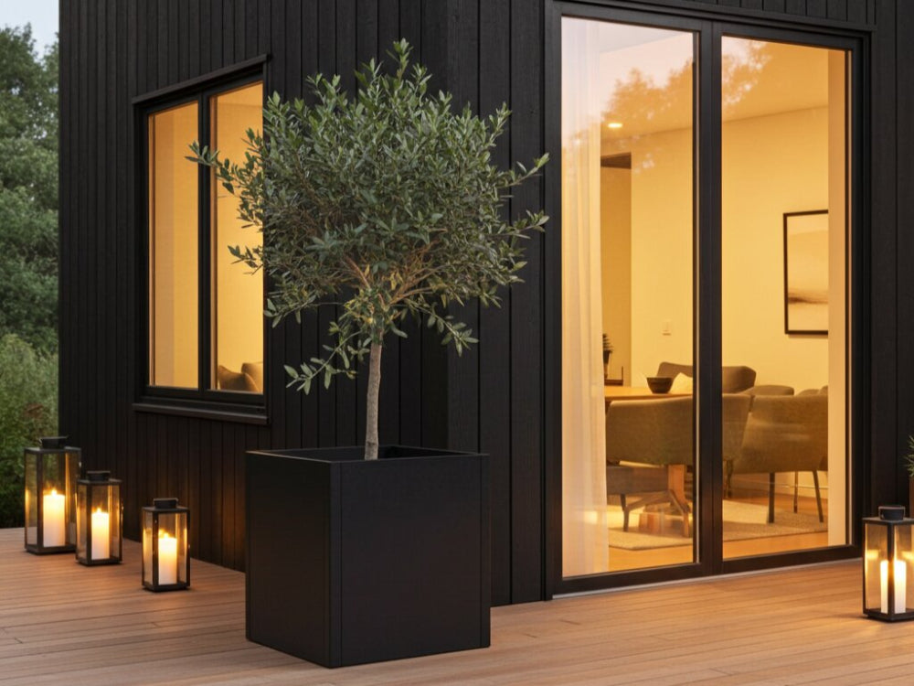 Stor sort plantekasse i stål med oliventræ på terrasse ved moderne hus