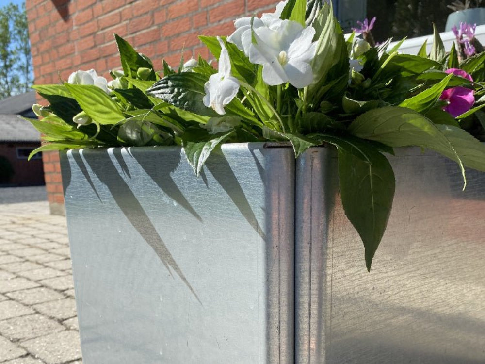 Detalje af galvaniseret EDGY højbed med hvide sommerblomster