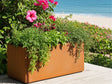 EDGY kompakt plantekasse i cortenstål med blomster ved terrasse