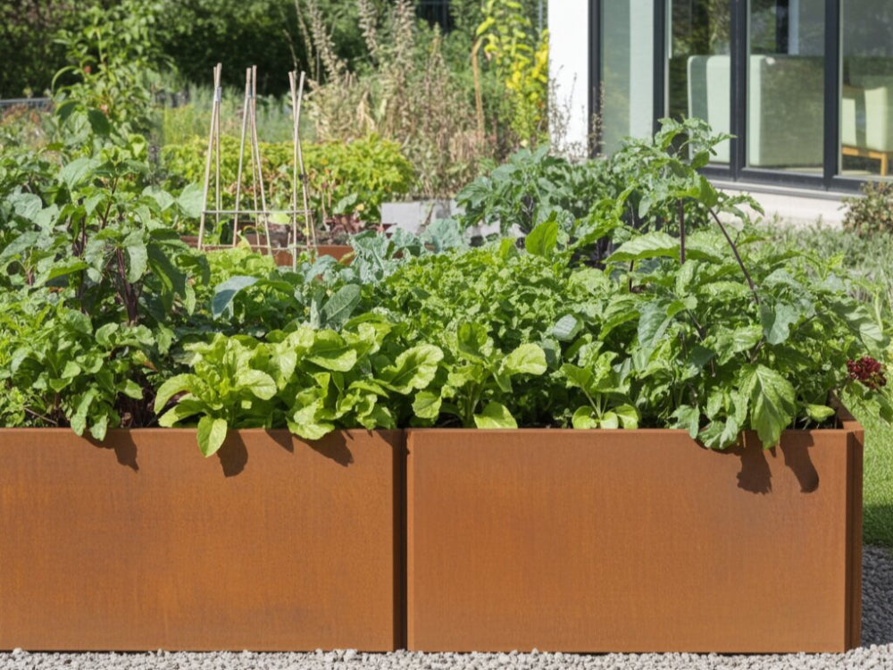 Lang EDGY plantekasse i cortenstål med salat og grøntsager