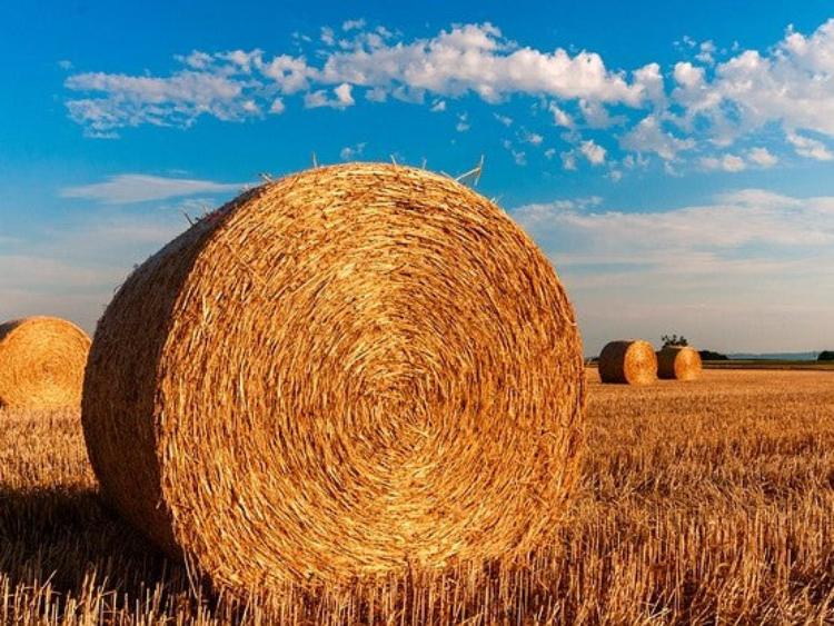 hay-bales-hoest