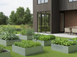 Højbed i galvaniseret stål med planter og urter i moderne have ved husfacade